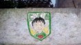 /album/pintadas/pintada-cafia-5-jpg/